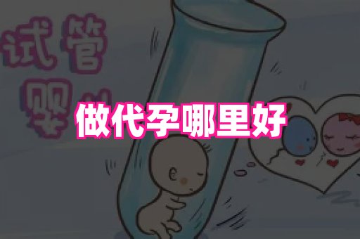 生殖助孕网站 1