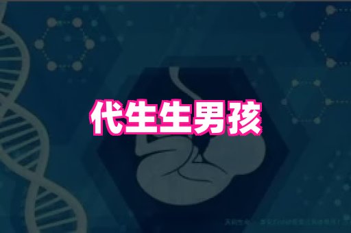 生殖助孕网站 4